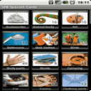 SPB Spanish Cards Android 1.1