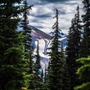 Montaña entre los arboles