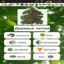 Eco guide trees summer