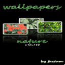 Wallpapers Nature